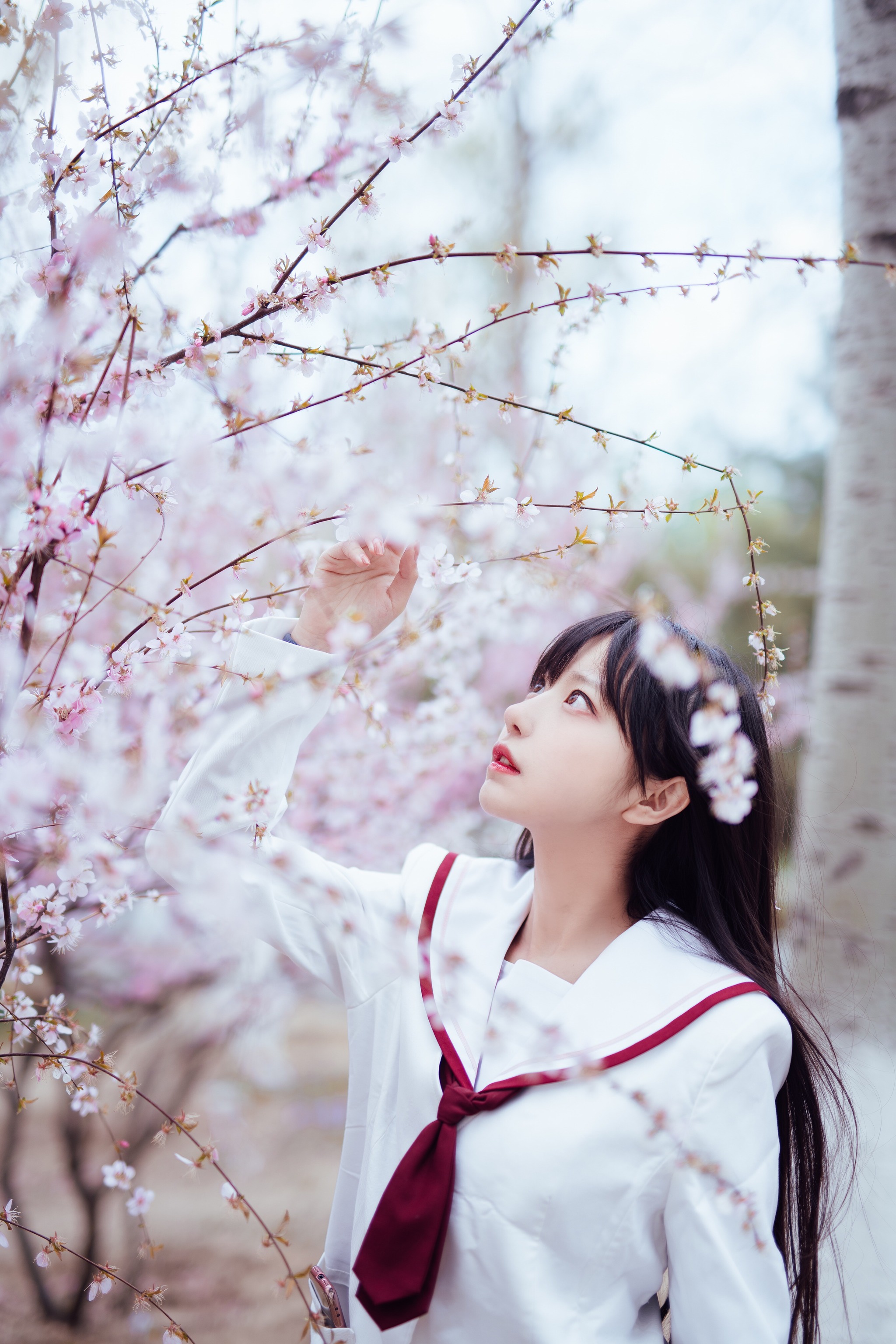 图片[1]-Shika小鹿鹿 – NO.047 樱花 [13P]-XikXak